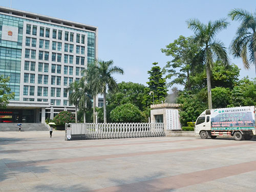 沙田镇人民政府