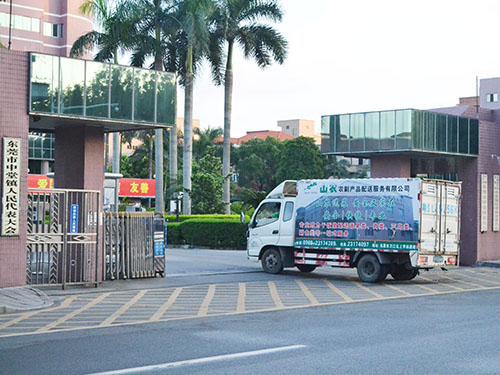 中堂政府