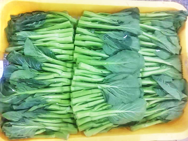 菜心
